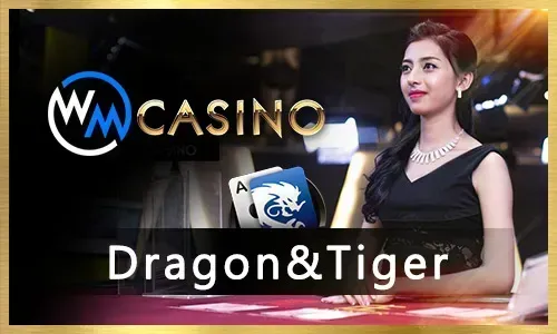 PH222 Live Casino